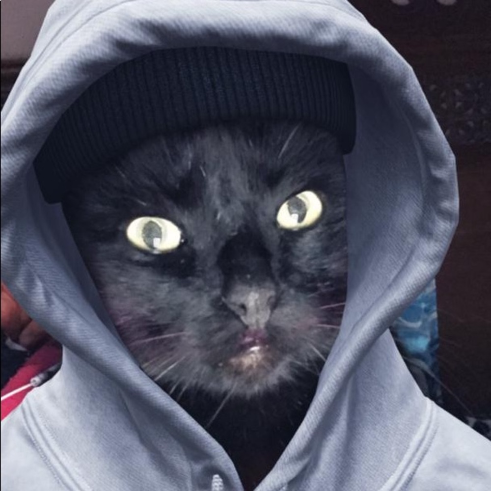 Meet your Posher, Safia